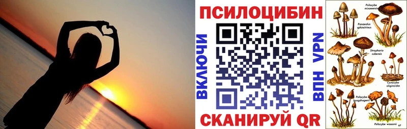 Псилоцибиновые грибы Psilocybine cubensis Воркута